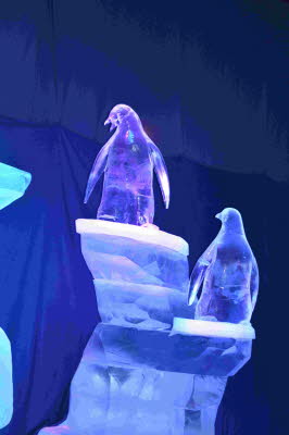 Eiswelt_Rostock_2018_0137