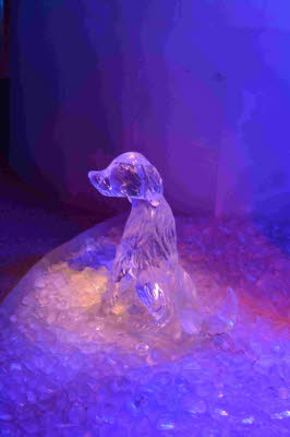 Eiswelt_Rostock_2018_0139