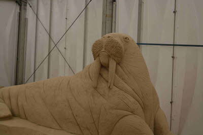 Sand_Europa_Binz_2018_0077