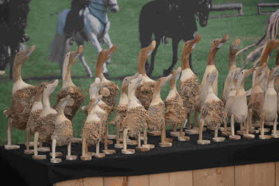 Sand_Europa_Binz_2018_0248